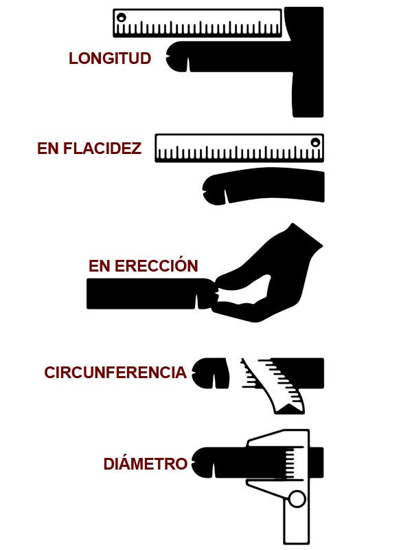 Cual es el tamano normal del miembro masculino en mexico
